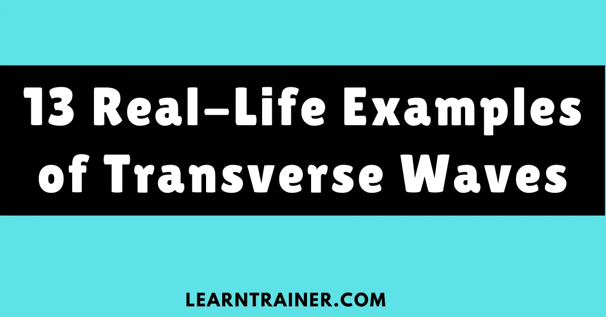 Read more about the article 13 Real-Life Examples of Transverse Waves