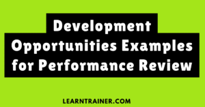 Read more about the article Development Opportunities Examples for Performance Review