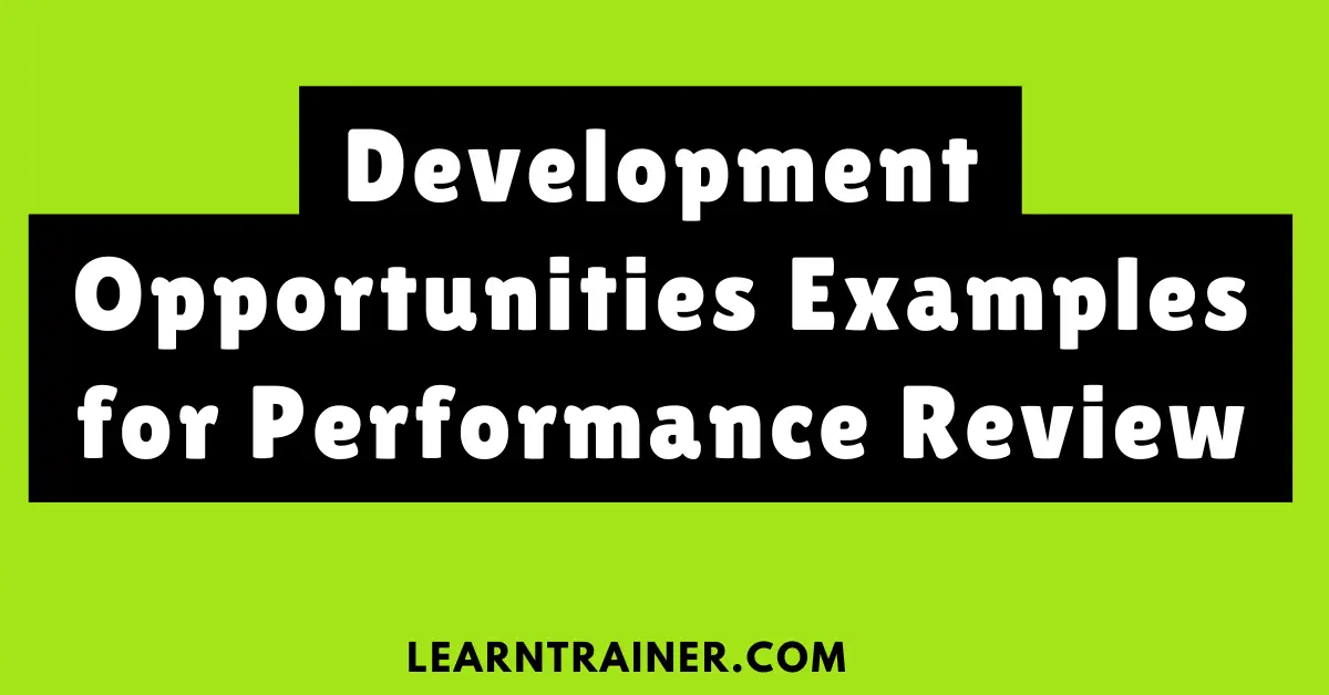 Read more about the article Development Opportunities Examples for Performance Review
