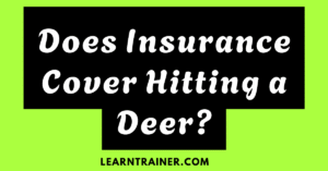 Read more about the article Does Insurance Cover Hitting a Deer?