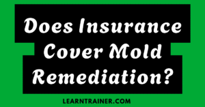 Read more about the article Does Insurance Cover Mold Remediation?