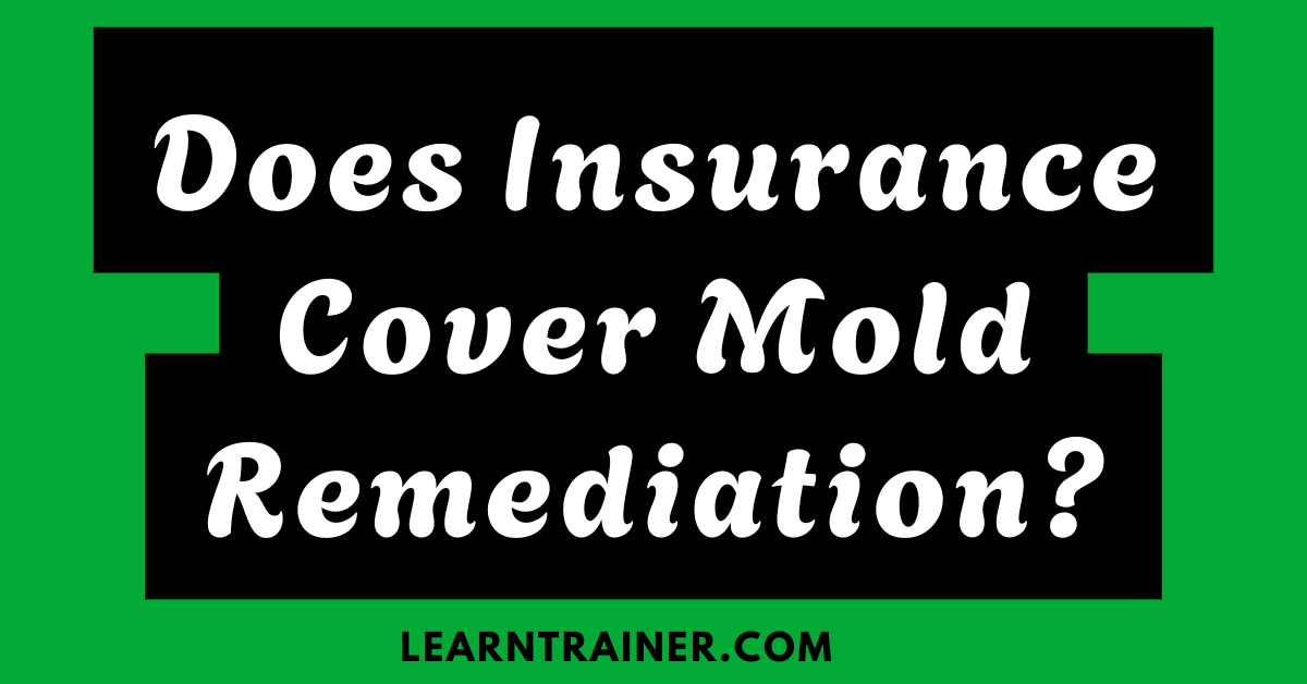 Read more about the article Does Insurance Cover Mold Remediation?
