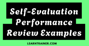 Read more about the article 10 Self-Evaluation Performance Review Examples