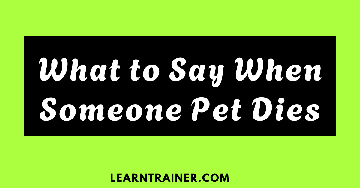 Read more about the article What to Say When Someone’s Pet Dies: 26 Heartfelt Phrases to Offer Comfort